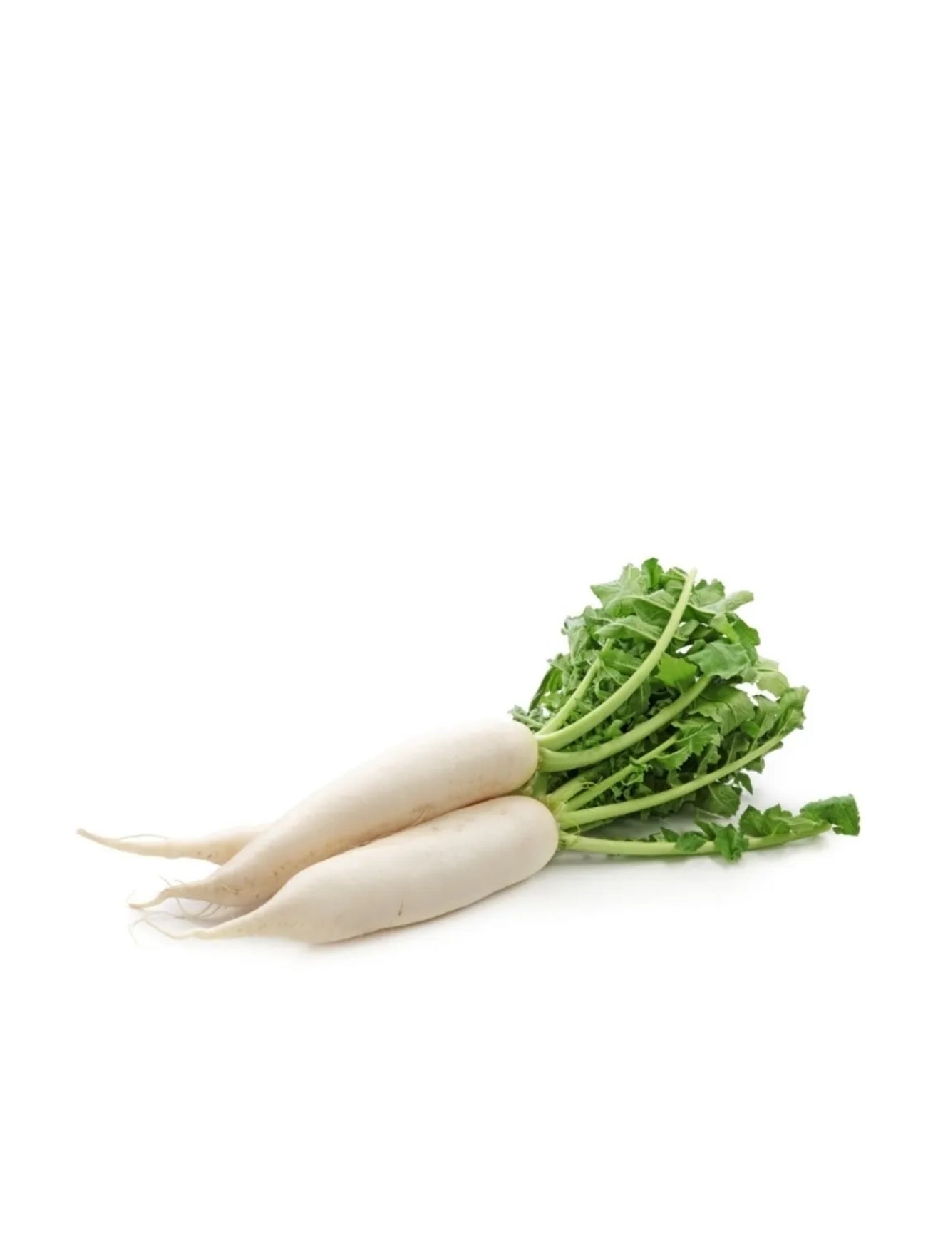 WHITE RADISH (LOBAK PUTIH) +/-500G
